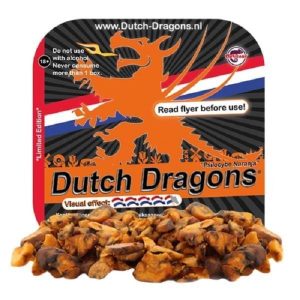 Dutch Dragons – Psilocybe Naranja
