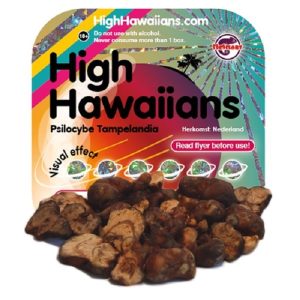 High Hawaiians – Psilocybe Tampelandia