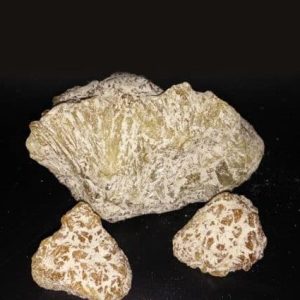 MDMA 94% purity(10 grams)