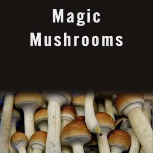 Magic mushrooms(10grams) online