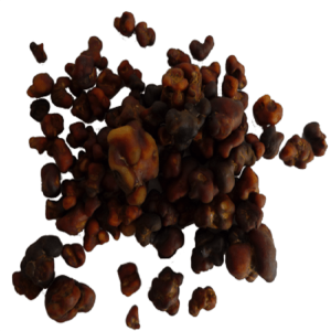 Magic Truffles Mexicana